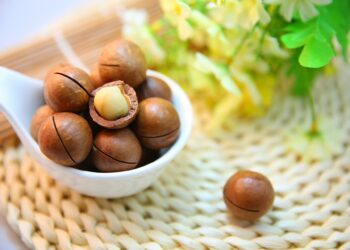 benefits-of-macadamia-nuts-and-oil