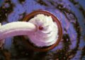 remedies for erectile dysfunction