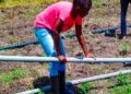 Juliet Atieno Okoth