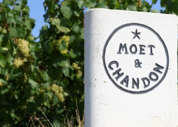 Moët & Chandon