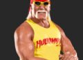 hulk hogan