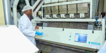 maize flour milling