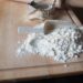 what is inside flour