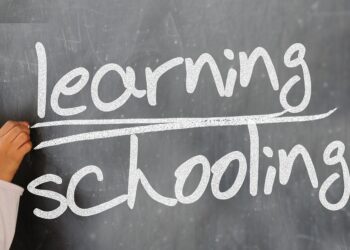 AI and Digital Literacy in schools